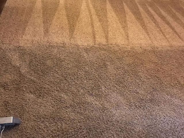 Cleaning Carpet