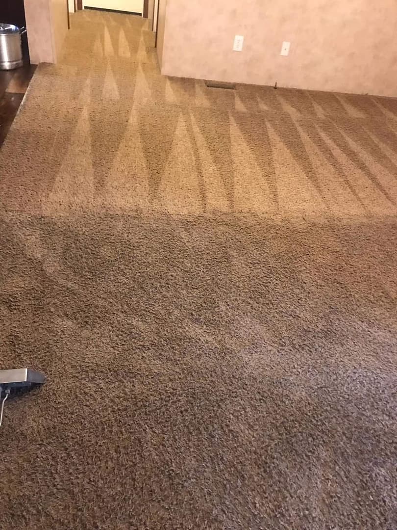 Cleaning Carpet