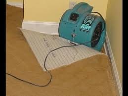 Carpet Drying